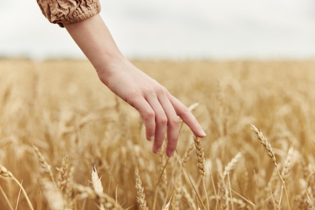 Vrouw handen platteland industrie teelt herfst seizoen concept