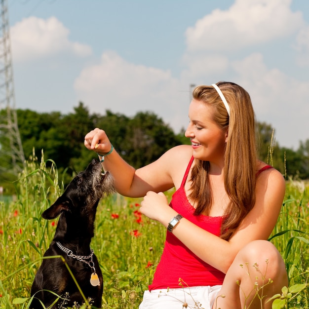 Vrouw het spelen met haar hond in een weide