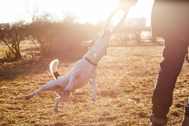 Vrouw het spelen met hond