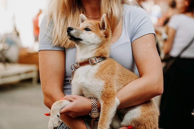 Vrouw houdt een Akita-puppy in haar armen. Wandel met je huisdier op een zomerse dag