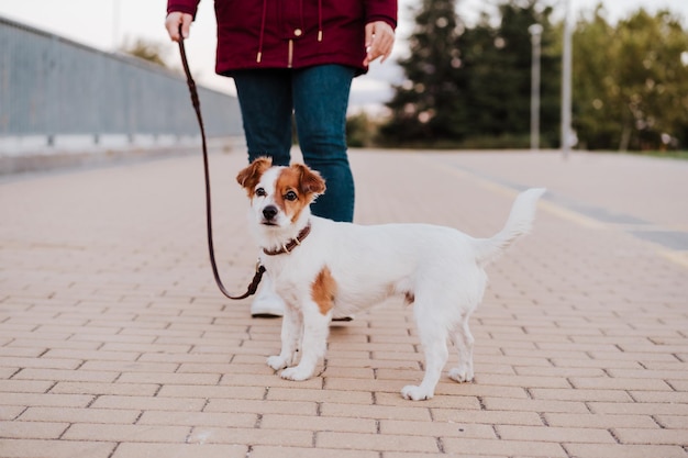 Vrouw in de stad loopt met haar schattige Jack Russell hond levensstijl buiten