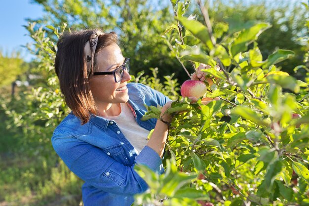 Vrouw in een zon-appelboomgaard houdt rode rijpe appel in haar hand, kopieer ruimte. oogst, herfst, biologisch natuurlijk gezond voedsel, tuinieren, fruit, mensenconcept