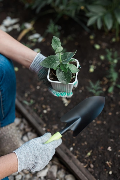 Vrouw in haar tuinwater met gieter van planten Concept van tuinieren en lente en bio