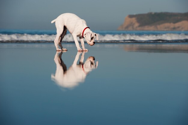 Foto vrouw in het water.