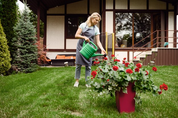 Vrouw in schort bloemen in de tuin water geven. Vrouwelijke tuinman zorgt voor planten buiten, tuinieren hobby, bloemist lifestyle en vrije tijd