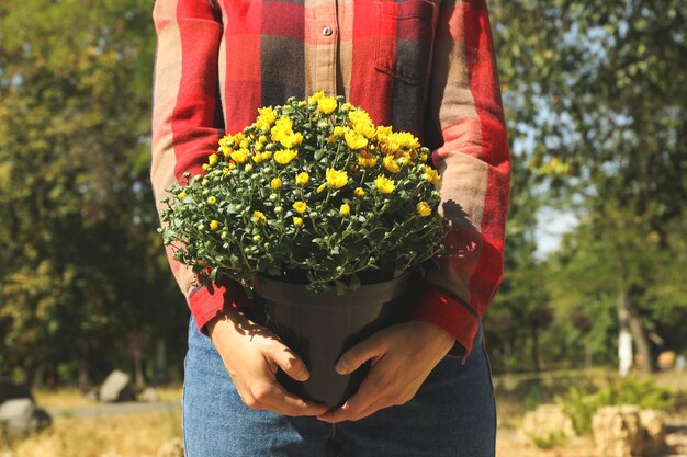 Vrouw in shirt en spijkerbroek houdt pot met chrysanten buiten