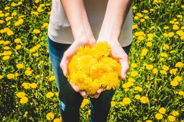 Vrouw in veld met bloeiende paardebloemen