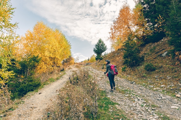 Vrouw is wandelen in de kleurrijke natuur van schilderachtige bossen en heuvels.