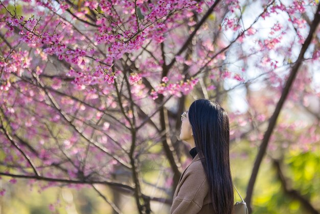 Vrouw, kijk naar de sakura boom.