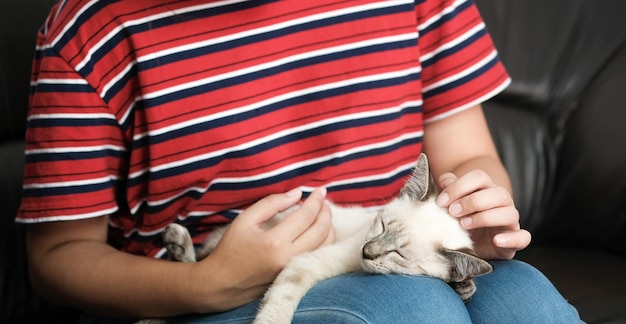 Foto vrouw knuffel leuke kat vriendschap dierenvriend vertrouwen liefde vriend van de mens