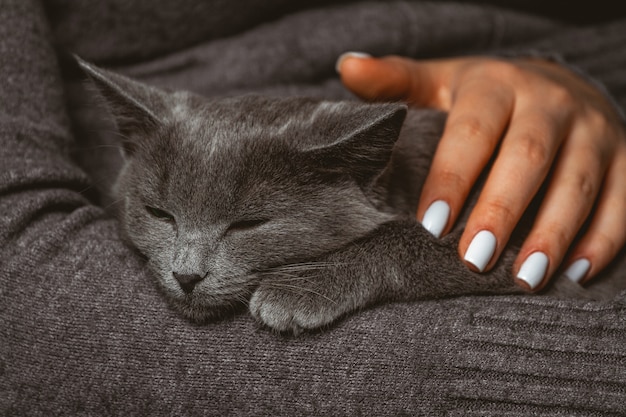 Vrouw met binnenlandse grijze kat in handen