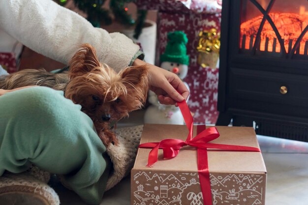 Foto vrouw met een yorkshire terrier hond op haar schoot met een geschenkdoos op kerstmorgen