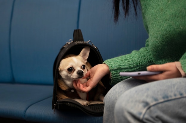 Foto vrouw met haar huisdier in de metro