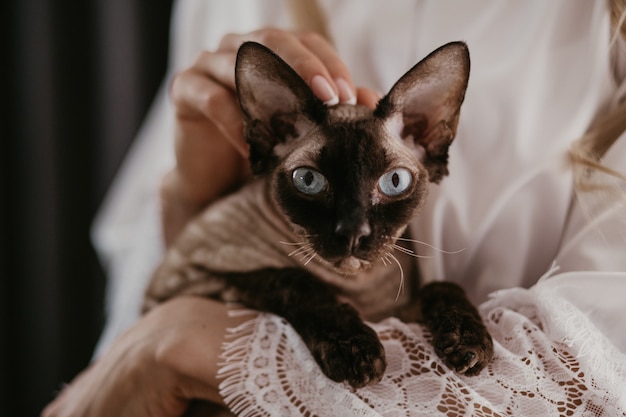 vrouw met haar Sphynx-kat in haar handen