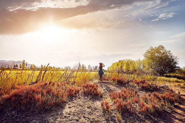 Vrouw met hoed op het veld bij zonsondergang