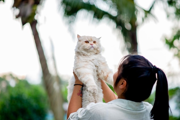 Vrouw met kat die thuis speelt met liefde voor katten De glimlach glinstert in zijn band met zijn pluizige kat De relatie tussen mensen en katten Kattenbezitters Huiskatten Dikke katten