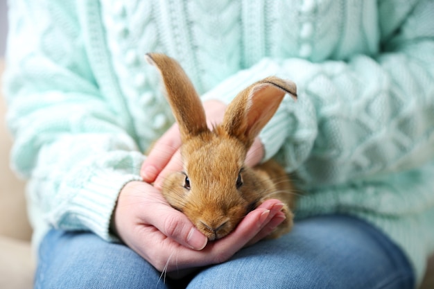 Vrouw met kleine schattige konijn, close-up