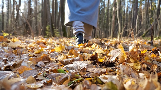 Vrouw met laarzen slentert door het bos tussen kale bomen