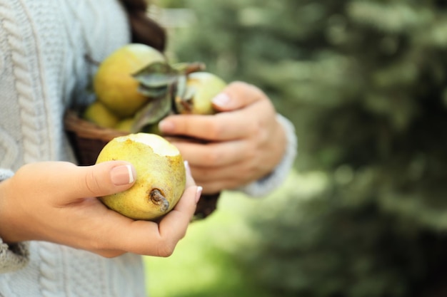 Vrouw met mand vol groene peren