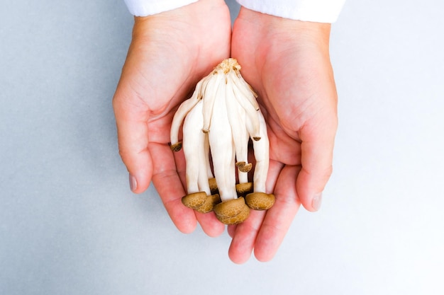 Vrouw met medicinale bruine shiitaki-paddenstoelen in handen