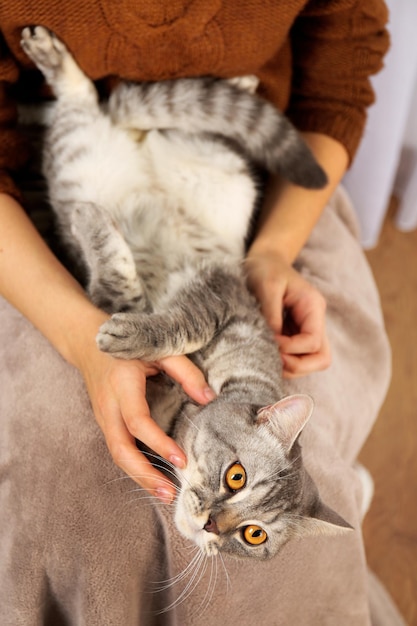 Vrouw met mooie grijze kat close-up