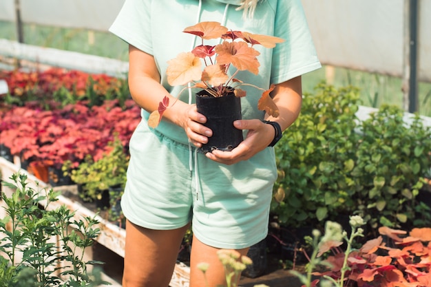 vrouw met pot bloemen in kas