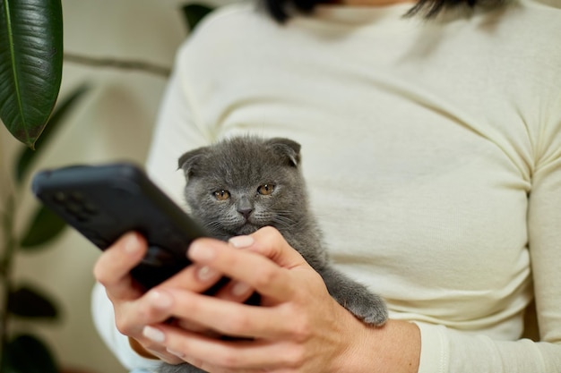 Foto vrouw met schotse kitten op de bank met telefoon chatten met smartphone