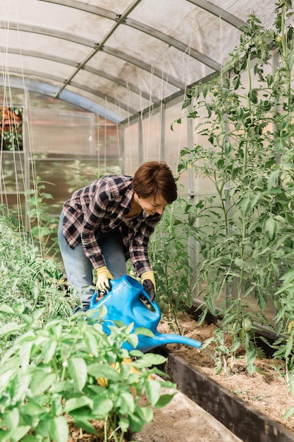Vrouw met tuin gieter water planten en groene tomaten tuinieren en broeikas concept