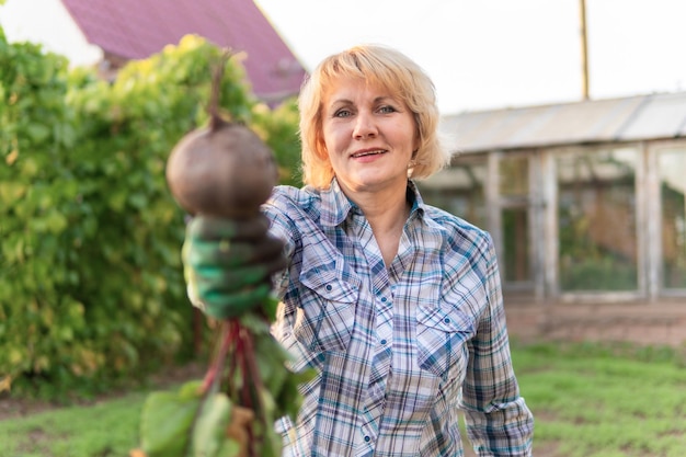 Vrouw met verse groenten in een mand in de tuin in de herfst