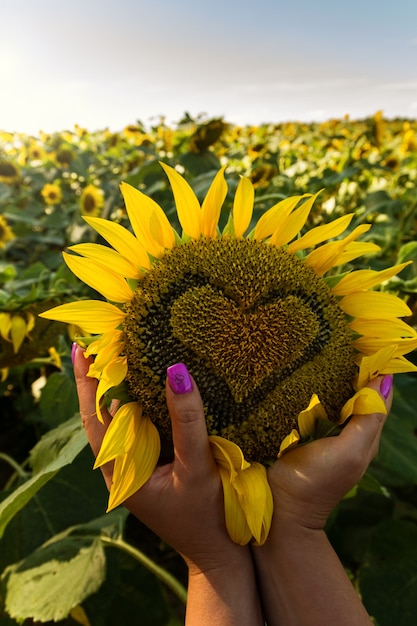 Vrouw met zonnebloem met hartvorm erop