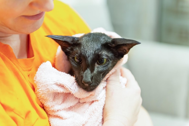 Vrouw met zwarte natte kat