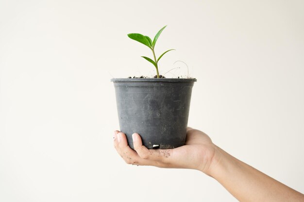 Vrouw met zwarte plant pot tuinieren thuis concept