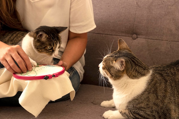 Vrouw naait kruissteek met haar katten thuis op de bank