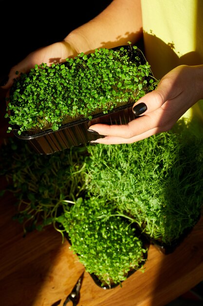 Vrouw neemt microgreens