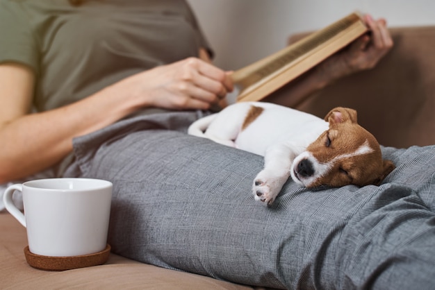 Vrouw ontspannen op de bank leesboek met jack Russel hond