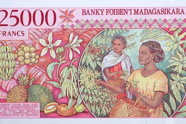 Vrouw oogst van Malagassisch geld Ariary