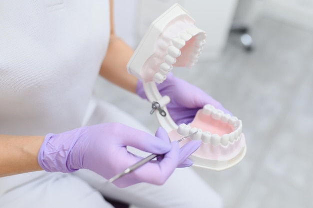 Vrouw orthodontist Tandarts toont menselijke kaak Prothese van tanden en tandvlees Vrouw arts demonstreert visueel hulpmiddel voor studenten Concept van opleiding orthodontisten Zorg voor uw tandheelkundige gezondheid