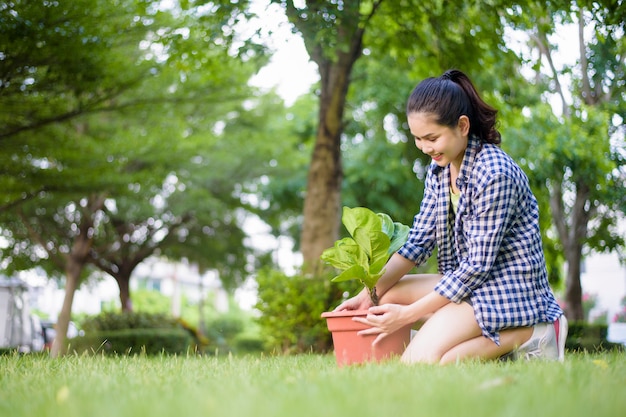 Vrouw plant de boom in de tuin