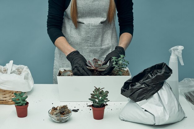 Vrouw plant kamerplanten en bloemen in aarde en potten