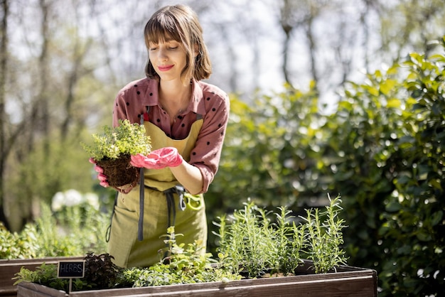 Vrouw plant pittige kruiden in eigen moestuin