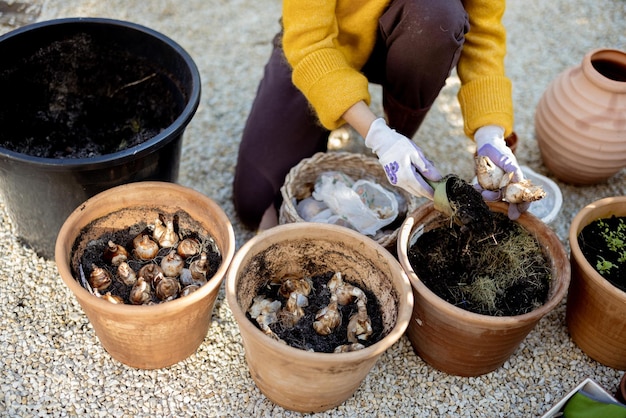 Vrouw plant tulpenbollen in kannen van klei