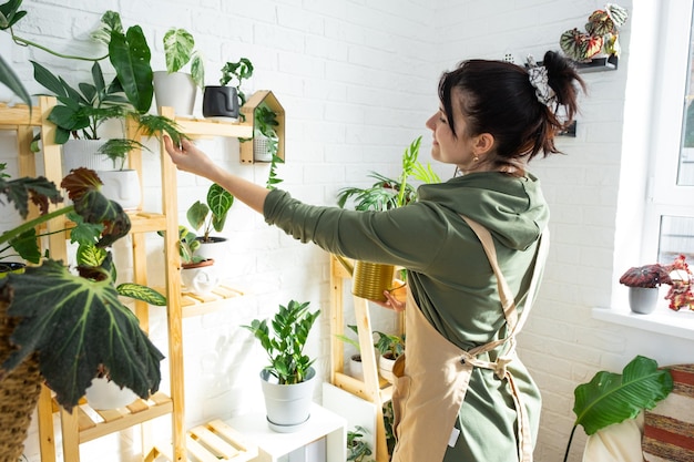 Vrouw plantenveredelaar onderzoekt en bewondert huisplanten in een pot uit haar collectie thuis op de planken Zoeken naar ongedierte zorg bewatering meststoffen Thuis gewasproductie