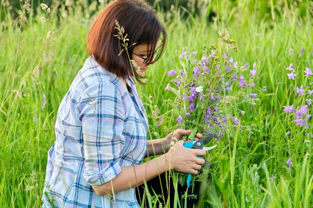 Vrouw plukt wilde bloemen klokken in een lente zomer grasweide