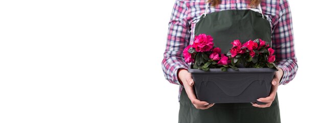 Vrouw professionele tuinman of bloemist in schort met bloemen in een pot geïsoleerd op een witte achtergrond