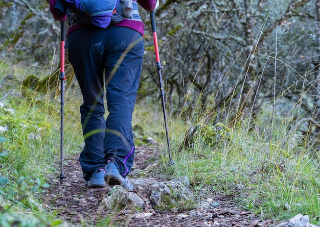 Vrouw Reiziger die bos oversteekt