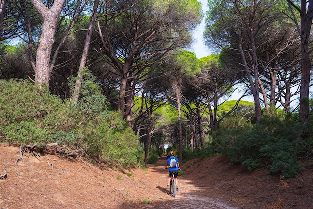 Vrouw rijden MTB in Maremma natuurreservaat Toscane Italië Fietsen tussen uitgestrekte dennenbossen, olijfbomen en groene bossen in natuurpark dramatische kust