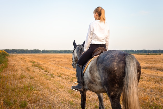 Vrouw rijdt op een grijs paard in een veld bij zonsondergang. paardrijden, verhuur, mooie achtergrond, huisje. Vriendschap en liefde voor mens en dier. Huisdier. paardensport. tarwe en zonnebloemen