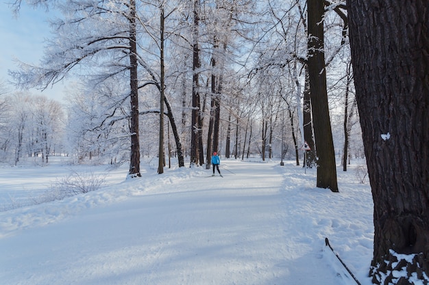 Vrouw skiën in het park op Yelagin Island in Sint-Petersburg, Rusland.