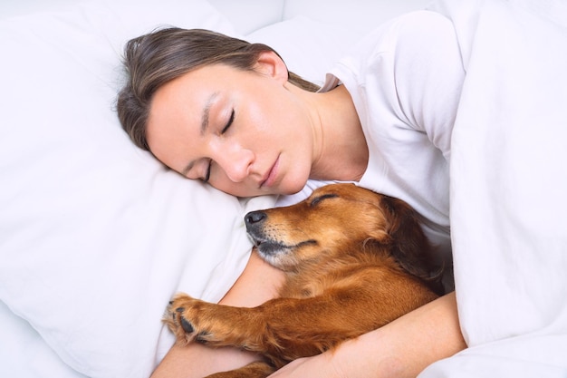 Vrouw slaapt met hond in bed mooie teckel hond slaapt samen met eigenaar