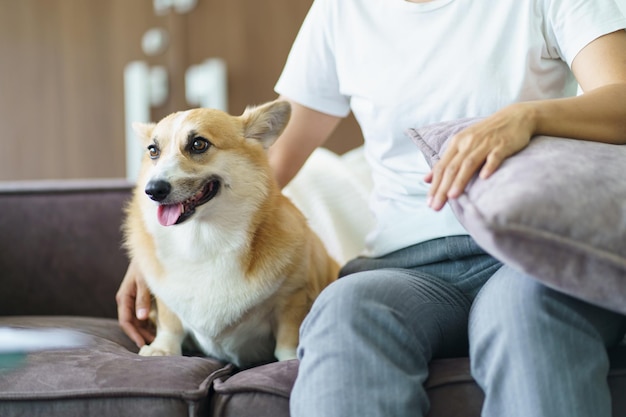 Vrouw speelt met haar hond thuis mooie corgi op de bank in de woonkamer